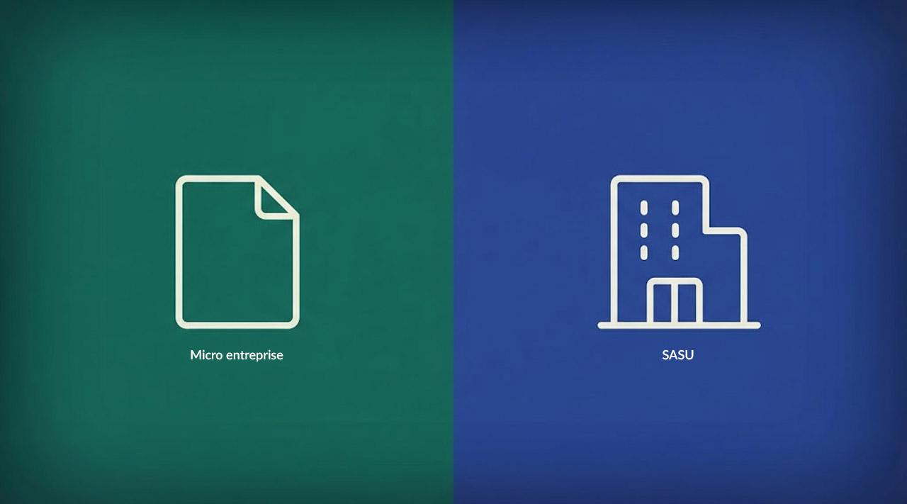 micro entreprise ou sasu