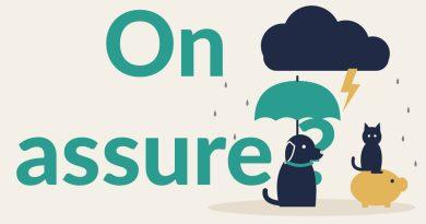 assurance pour animaux